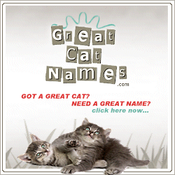 Great Cat Names