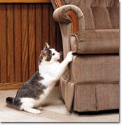 Cat scratching chair