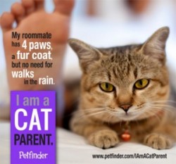 I am a cat parent and proud of it!