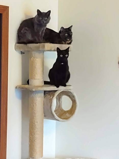 IMG_20220416_185547735 (1)